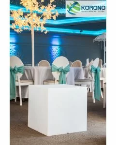 Kubus 50 x 50 x 50 cm met led-verlichting